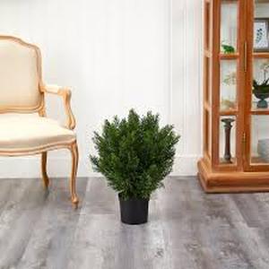 Lot of Nearly Natural 2 ft. Artificial Cedar Bush IndoorOutdoor Customer Returns See Pictures