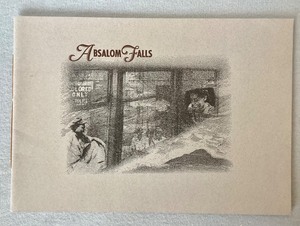 Book Absalom Falls - Alexs Pate