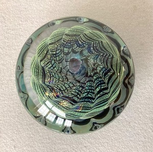 Art Glass Sea Urchin Paperweight