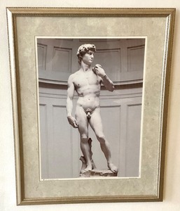 Framed Photo Print of Michaelangelos David