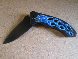lot 10 image: SkullFlames Design Spring Assist F...