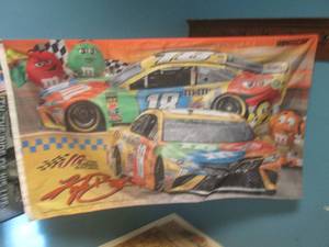 lot 73 image: 3 ft x 5 ft Nascar Kyle Bush M&M Ca...