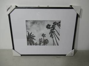 lot 30 image: Thin Gallery Matted Photo Frame Black - Project 62-Palms-14 x 18 Matted to 8 x 10