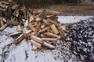 lot 3 image: Truck Bed Load of Mixed Species Pre Cut and Split Firewood