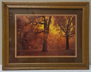 Fall Print Framed (View Photo)