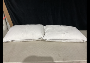 lot 318 image: LOT OF 2 Goose Down Pillows 20x28