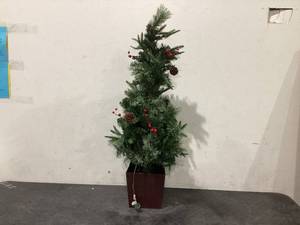lot 336 image: 42 Farm Fresh Cedar Pine Fir Spruce
