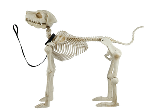 lot 226 image: 60 White Skeleton Dog, Halloween Decoration, by Way to Celebrate