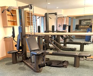 lot 8 image: Vectra On-Line 1500 Workout System
