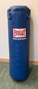lot 83 image: Everlast Punching Bag