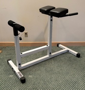 lot 113 image: Power-Line Roman Chair Workout Unit