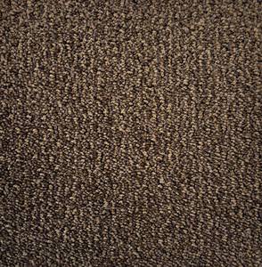 1353 Sq Ft (12 x 1129) Tuftex How Cute Cub Carpet Roll