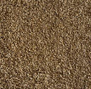 888 Sq Ft (12 x 74) Tuftex Profeta Mapleview Carpet Roll - Super Plush