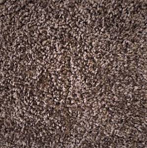 1782 Sq Ft (12 x 1486) Shaw Expect More Chocolate Chip Carpet Roll