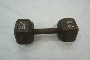 lot 74 image: weight 25lb