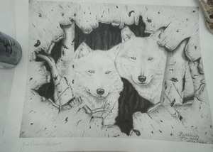 lot 166 image: Jesse Bohlman White Magic print. signed and numbered 225. 2008