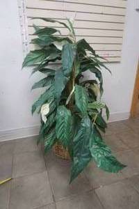 lot 182 image: Peace Lily home decor tree 50 tall