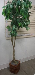 lot 183 image: Home Decor tree 1ct 70 tall