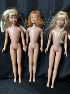 lot 83 image: LOT OF 3 SKIPPER DOLLS - NO CLOTHES