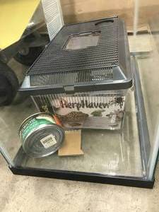 lot 42 image: NEW PET AQUARIUM