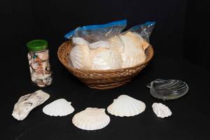 lot 63 image: Seashells and Sea Glass Lot