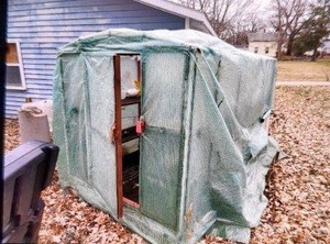 lot 1 image: BROWNTON - Greenhouse