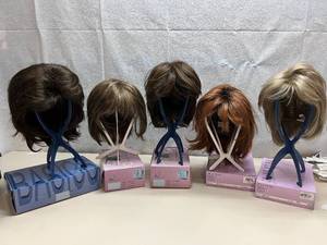 $$$$ Lot of NEW In Box Mixed Brands & Sizes Hair Wigs (The Wig Company, Paula Young) - Please See Pictures & Descriptions For More Info