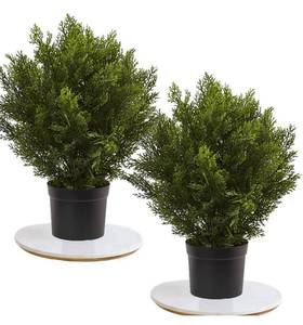 lot 38 image: MOMOPLANT 33Inch2.6 FT Outdoor Artificial Boxwood Garden Torch Shaped Topiary Tree Artificial Topiaries Bushes Potted Fake Plants OutdoorIndoor DecorSet of 2