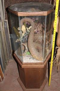 lot 108 image: Vintage Taxidermy Display with Snake and Green Frog in Glass Case