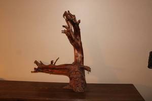 lot 254 image: Carved Wooden Art Piece with Human Face and Branches