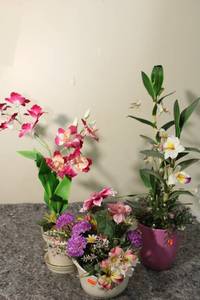 lot 277 image: Set of 3 Artificial Floral Arrangements with Vibrant Orchid Designs