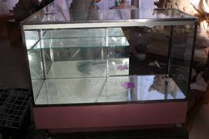 lot 15 image: Used Glass Display Showcase with Pink Base and Adjustable Shelves