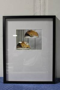 lot 656 image: Modern Framed Artwork Featuring Brass Dome Lights