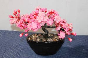 lot 708 image: Artificial Cherry Blossom Bonsai with Decorative Pot