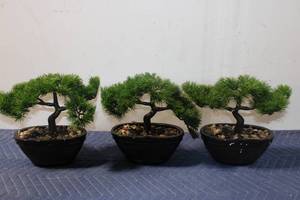 lot 1229 image: Set of 3 Decorative Fake Bonsai Trees in Black Ceramic Pots