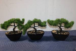 lot 1230 image: Set of 3 Artificial Bonsai Trees with Ceramic Pots