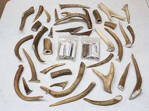 lot 393 image: Assorted Deer Antlers