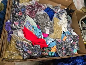 Lot of 300 Womens Clothing (Box-8)