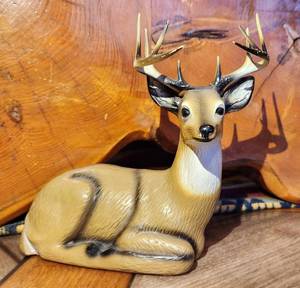 Buck , plastic, he is a bank