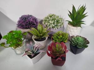 lot 83 image: Lot of Artificial Succulents & Floral Decor