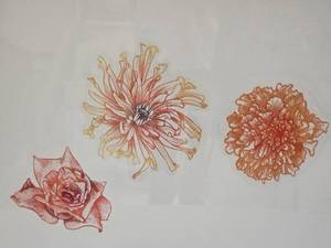 lot 32 image: SIGNED Delicate Fine Art Print - Reina - Three Flowers