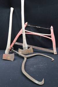 lot 19 image: PRIMITIVES