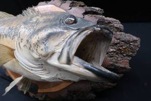 lot 33 image: MOUNTED LARGE MOUTH BASS