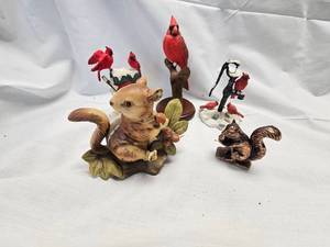 Cardinal and Squirrel Lot