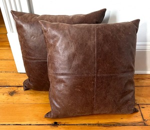 Two Leather Accent Pillows