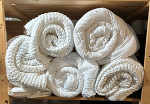 White Queen and Twin Comforters, Blankets, Duvet and Pillow Cases