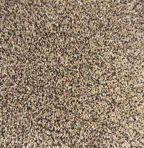 lot 54 image: 373 (12 x 311) Karastan Secret Destination Hidden Treasure Carpet Roll