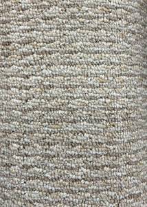 lot 56 image: 94 Sq Ft (12 x 710) Shaw Step Up Bernie Carpet Remnant