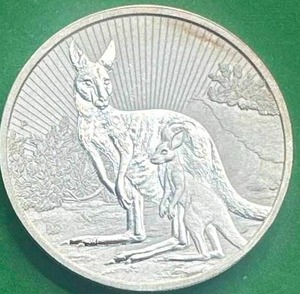 2oz .999 Silver Round