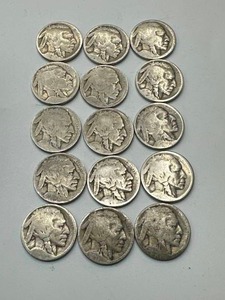Lot of 15 Buffalo Nickels